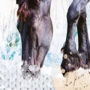 Mural Infantil Wanna Haves INK2024