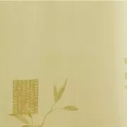 Papel pintado Linea Facile PIU 16168303