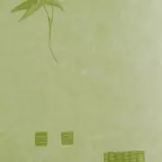 Papel pintado  Linea Facile PIU 16168305