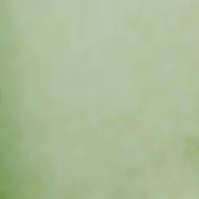 Papel pintado Textura Linea Facile PIU 16168365