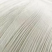 Papel pintado Hojas Breeze of Eden 44573 | Iberostil