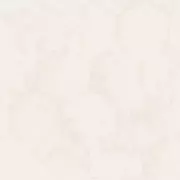 Papel pintado Geométrico Philipp Plein 2 Z81026