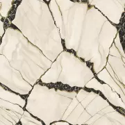 Papel pintado Efecto mármol Philipp Plein 2 Z81038