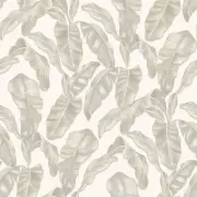 Papel pintado Hojas Trending Walls 1611004