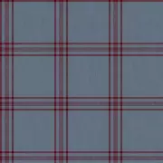 Papel pintado Escocés Trending Walls 1611046