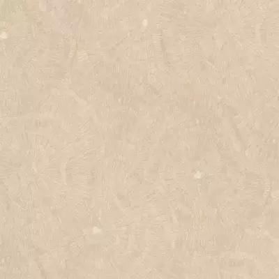 Papel pintado Anillos de árbol Metamorphosis 166623