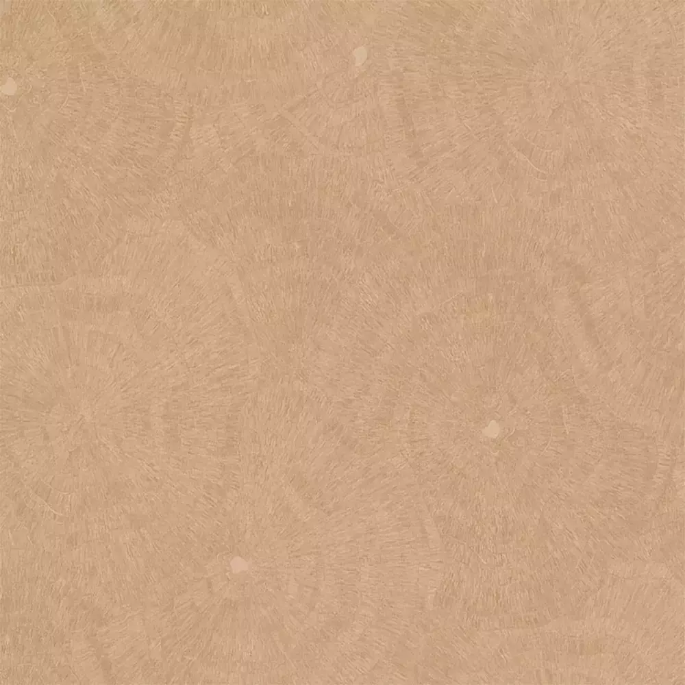 Papel pintado Anillos de árbol Metamorphosis 166624