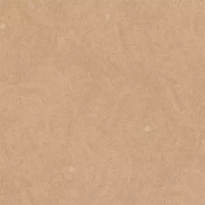 Papel pintado Anillos de árbol Metamorphosis 166624