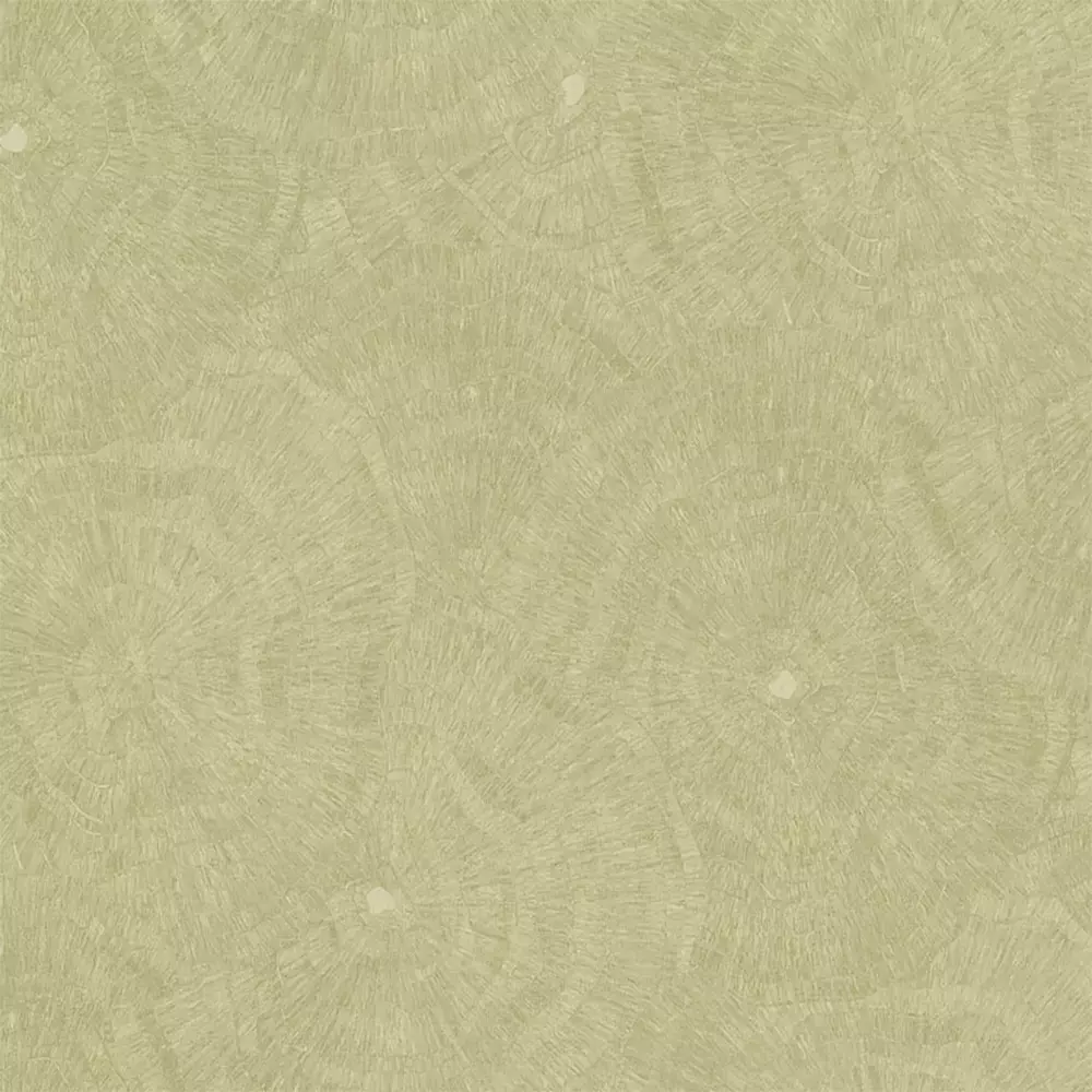 Papel pintado Anillos de árbol Metamorphosis 166625