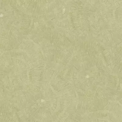 Papel pintado Anillos de árbol Metamorphosis 166625