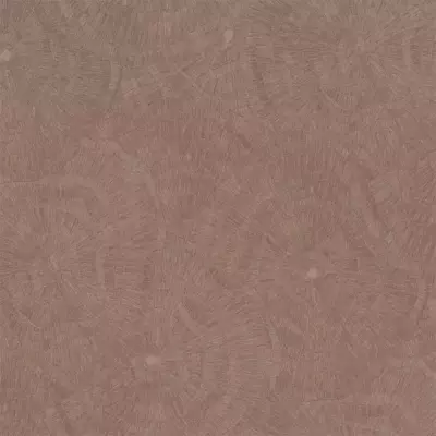 Papel pintado Anillos de árbol Metamorphosis 166629