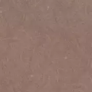 Papel pintado Anillos de árbol Metamorphosis 166629