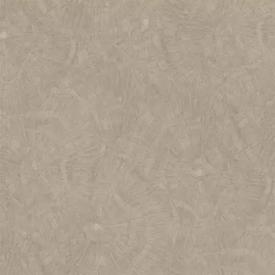 Papel pintado Anillos de árbol Metamorphosis 166639