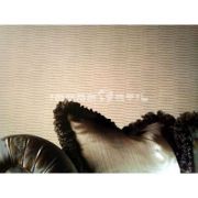 Papel pintado Intoselección 26195  geométrico |Outlet de papel pintado