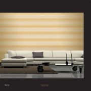538-2 Overdrive ambiente