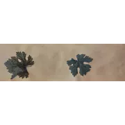 Cenefa adhesiva Pine | Cenefas Iberostil