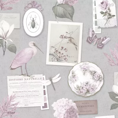 Papel pintado Animales Curiosities 1312370