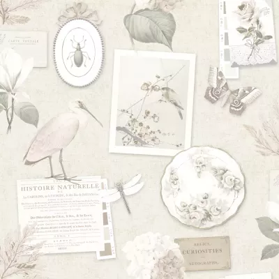 Papel pintado Animales Curiosities 1312372