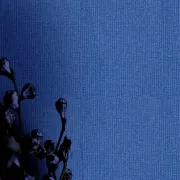 Papel pintado Textura Impression 2041936
