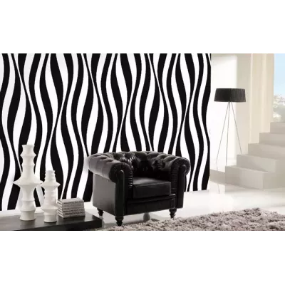Zebra b/w 4.185 x 2.7 Fotomural 2044