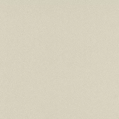 Papel pintado Piel Sambesi 4590302