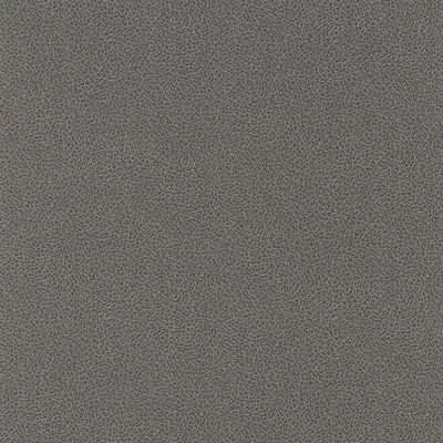 Papel pintado Piel Sambesi 4590310