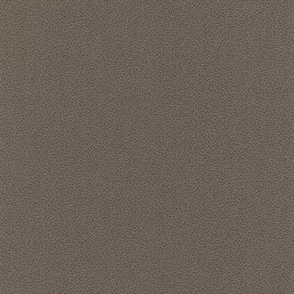 Papel pintado Piel Sambesi 4590311
