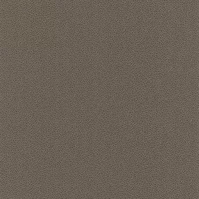 Papel pintado Piel Sambesi 4590311