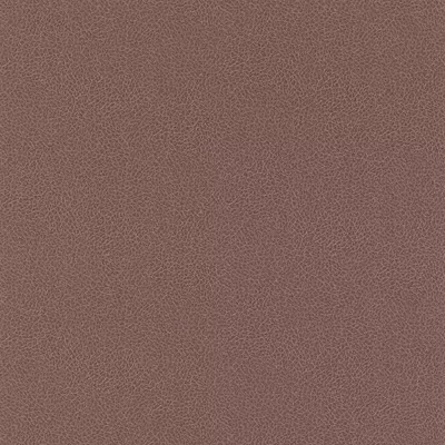 Papel pintado Piel Sambesi 4590316