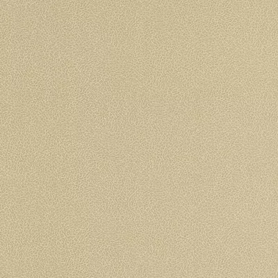 Papel pintado Piel Sambesi 4590327