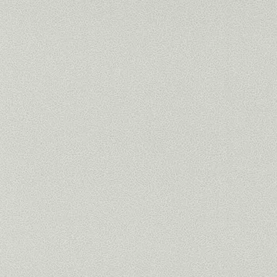 Papel pintado Piel Sambesi 4590331