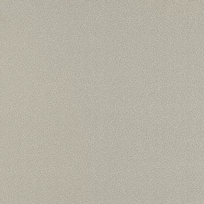 Papel pintado Piel Sambesi 4590337