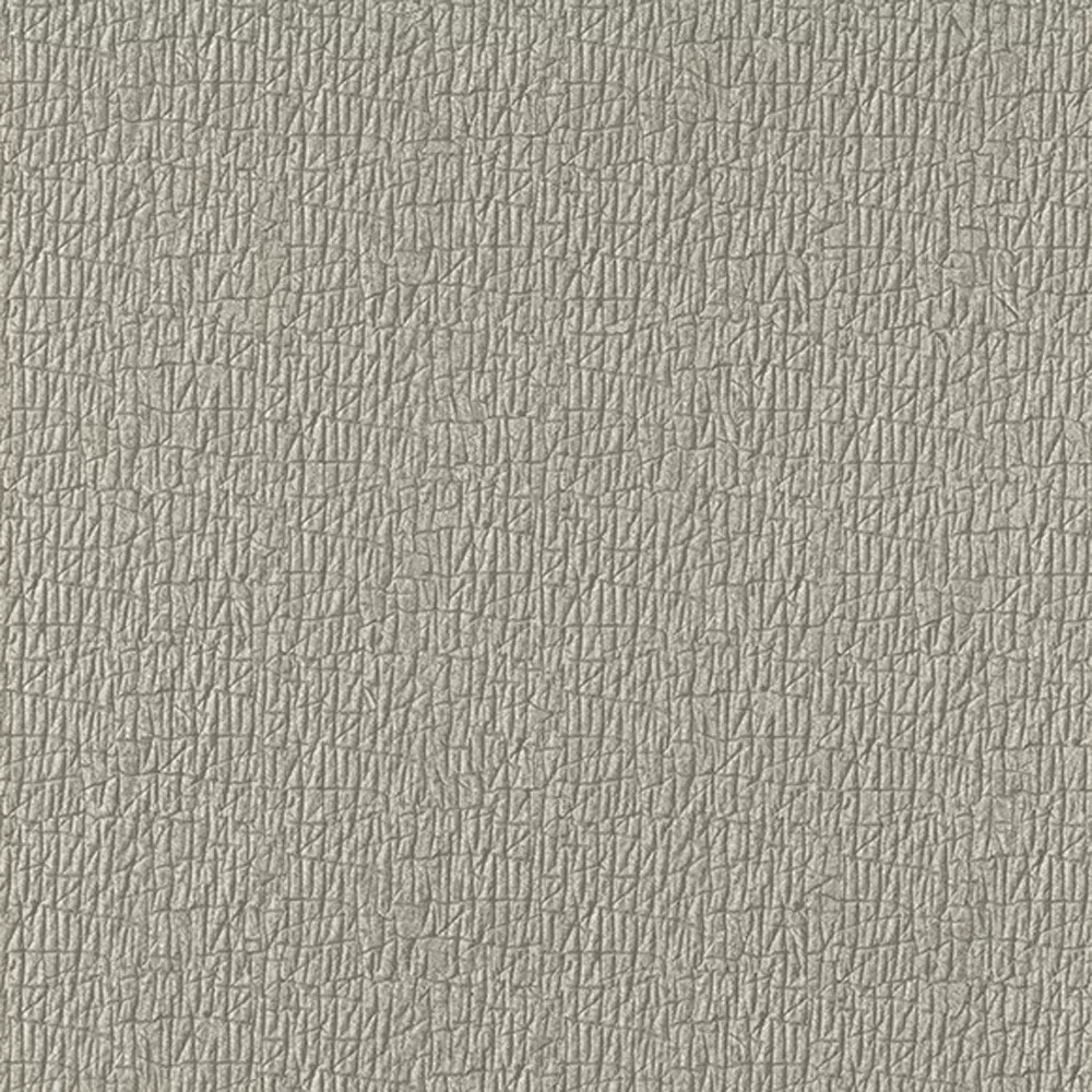 Papel pintado Textura Sambesi 4590411