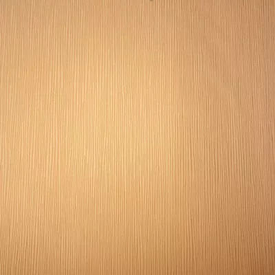 Papel pintado Liso Urban Spirit 4673904