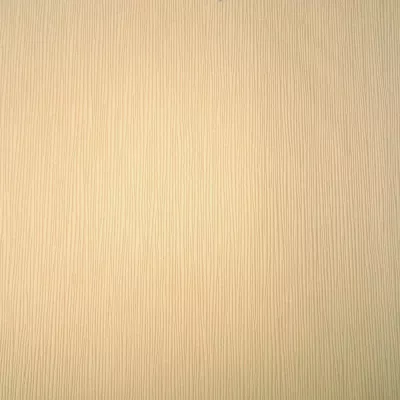 Papel pintado Liso Urban Spirit 4673903