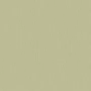 Papel pintado Madera New eleganza 163056