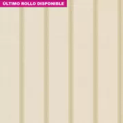 Papel pintado Rayas Vintage Fashion Home 163963