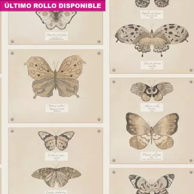 Papel pintado Mariposas Camille 1397801 | Iberostil