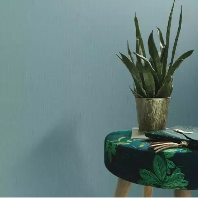 Papel pintado Liso Serena 44655