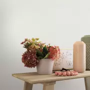 Papel pintado Liso Serena 44653