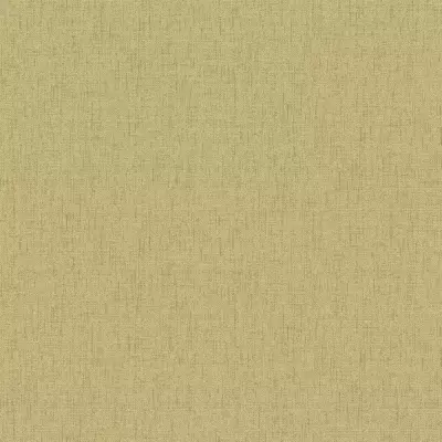 Papel pintado Liso Why Not 03WN27512