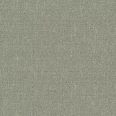 Papel pintado Liso Why Not 03WN27511