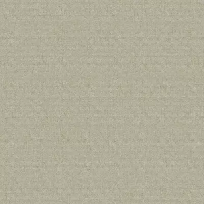 Papel pintado Liso Why Not 03WN27510