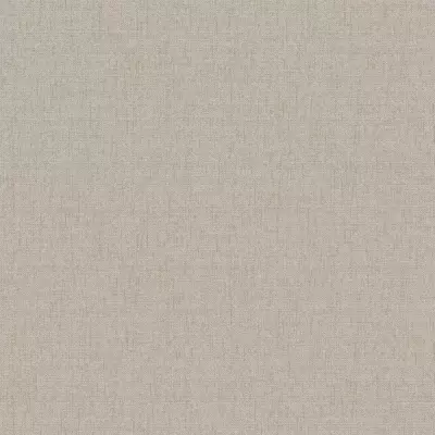 Papel pintado Liso Why Not 03WN27504