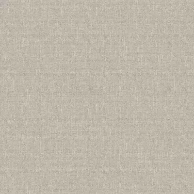 Papel pintado Liso Why Not 03WN27503