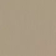 Papel pintado Liso Zephira ZP54404