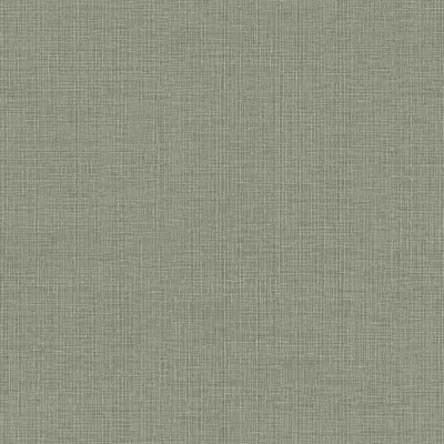Papel pintado Liso Zephira ZP54805