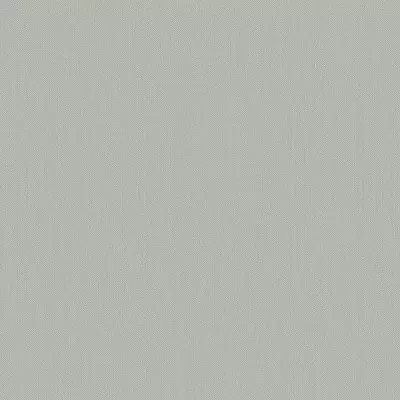 Papel pintado Liso Zephira ZP54401