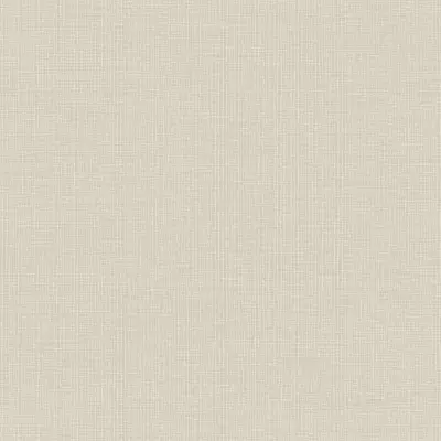 Papel pintado Liso Zephira ZP54802