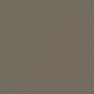 Papel pintado Liso Zephira ZP54405